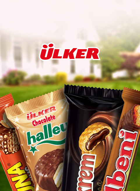 создание сайтов в алматы